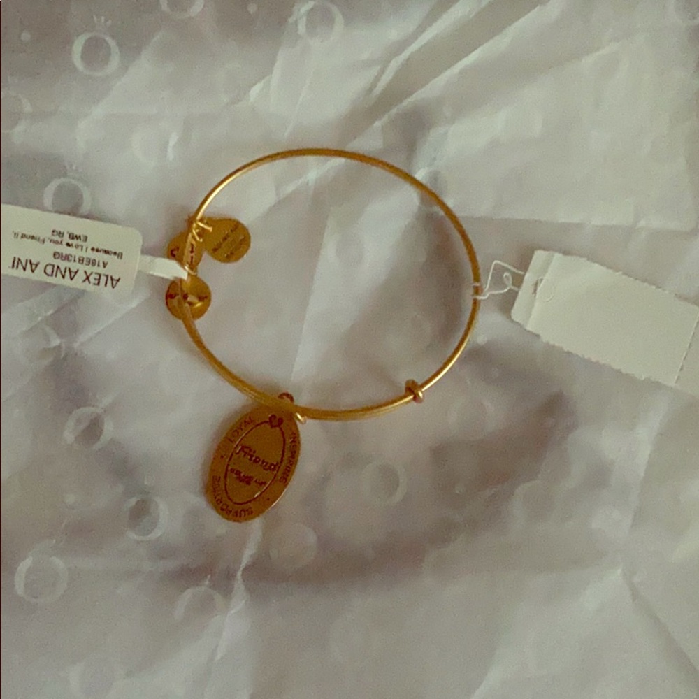 Brand new Alex and ani
